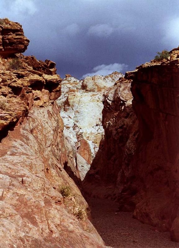 04160302LittleWildHorse (1014)